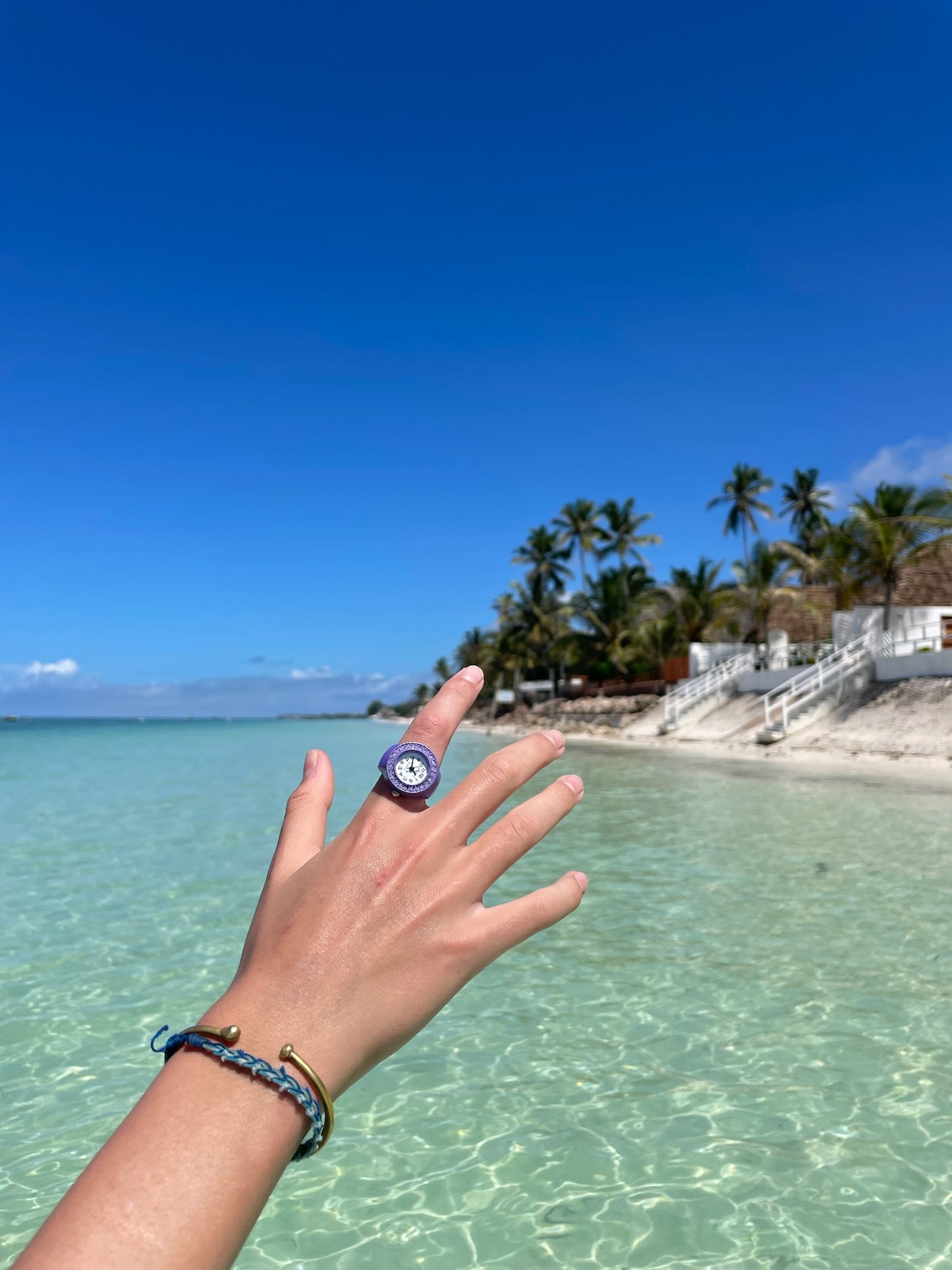 lil iced out aubergine